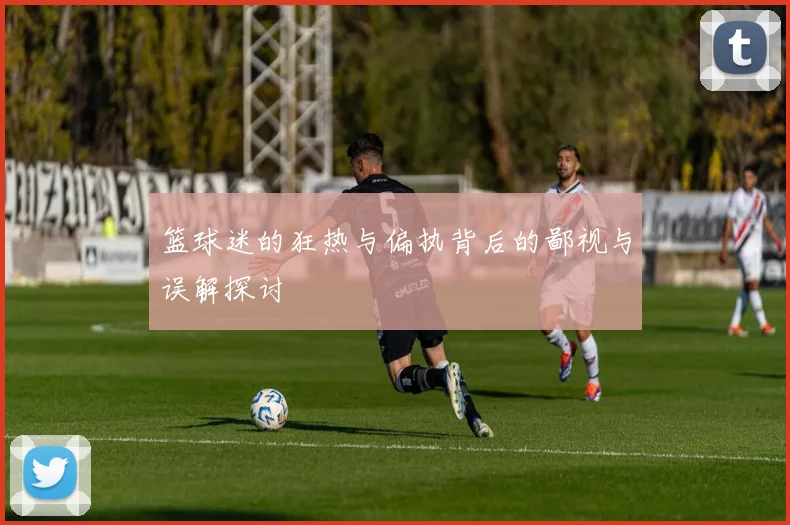 篮球迷的狂热与偏执背后的鄙视与误解探讨