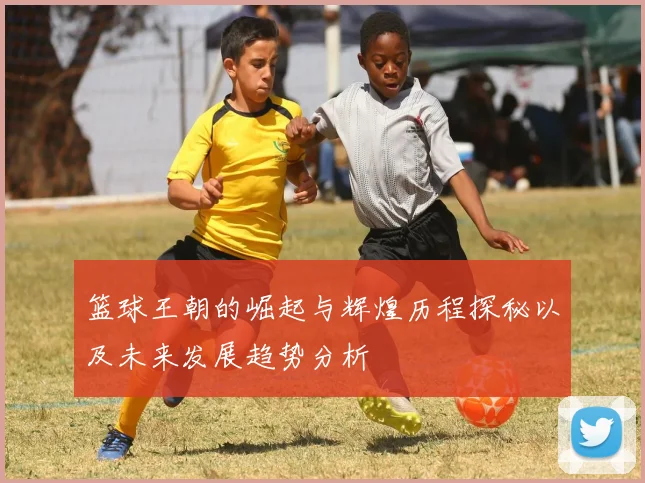 篮球王朝的崛起与辉煌历程探秘以及未来发展趋势分析
