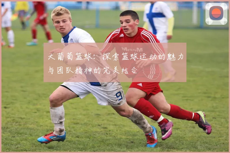 大葡萄篮球：探索篮球运动的魅力与团队精神的完美结合