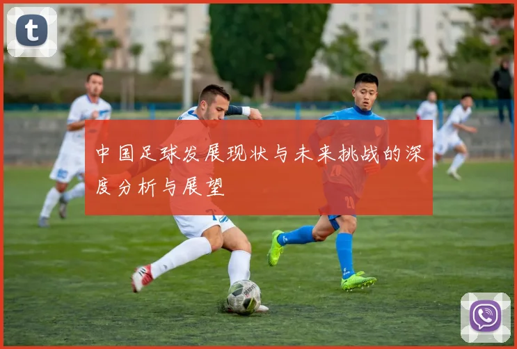 中国足球发展现状与未来挑战的深度分析与展望