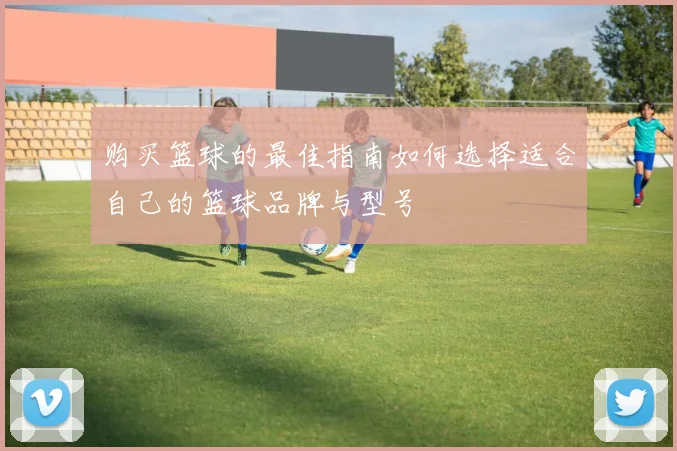 购买篮球的最佳指南如何选择适合自己的篮球品牌与型号