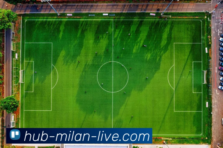 米兰体育平台生态图