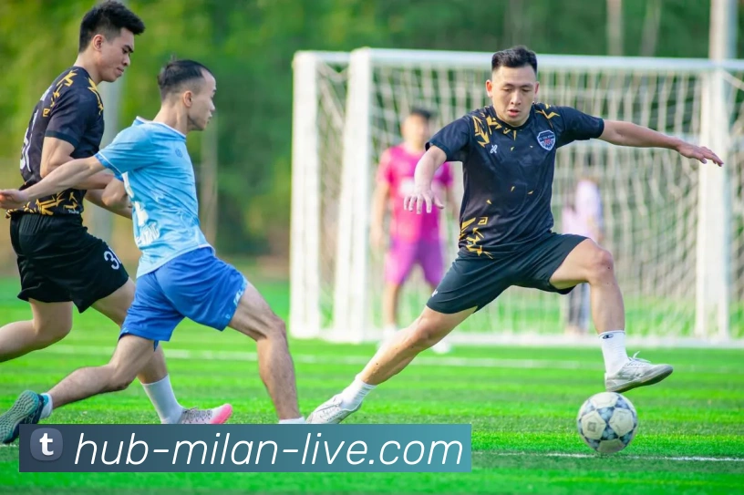 米兰体育APP 封面图